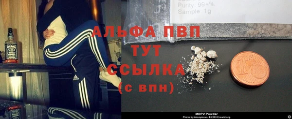 амф Аркадак