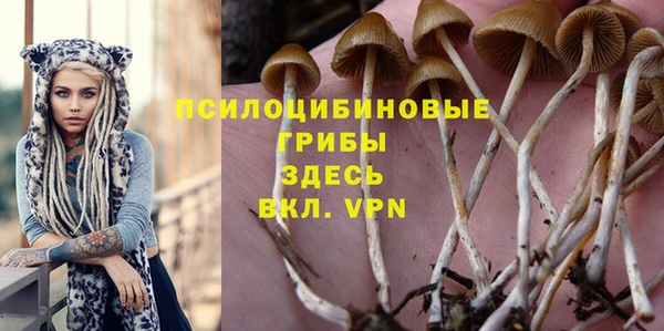 экстази Арсеньев
