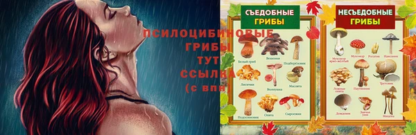 экстази Арсеньев