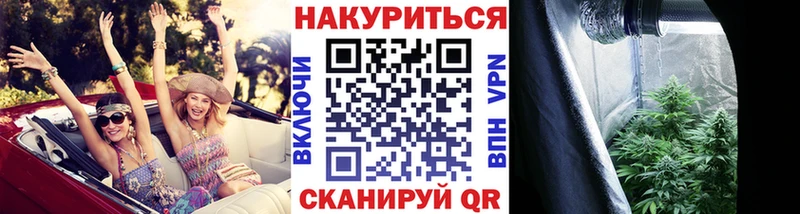 где можно купить   Мурино  Каннабис MAZAR 